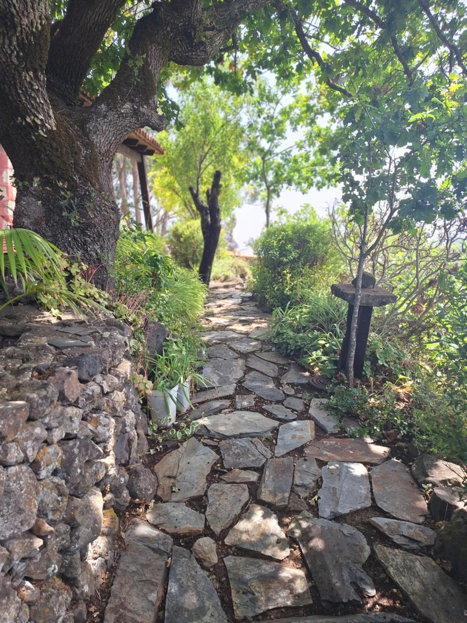 Casa Rural Con Piscina Privada El Roble Moya  Exterior foto