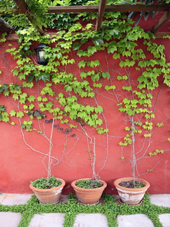 Casa Rural Con Piscina Privada El Roble Moya  Exterior foto